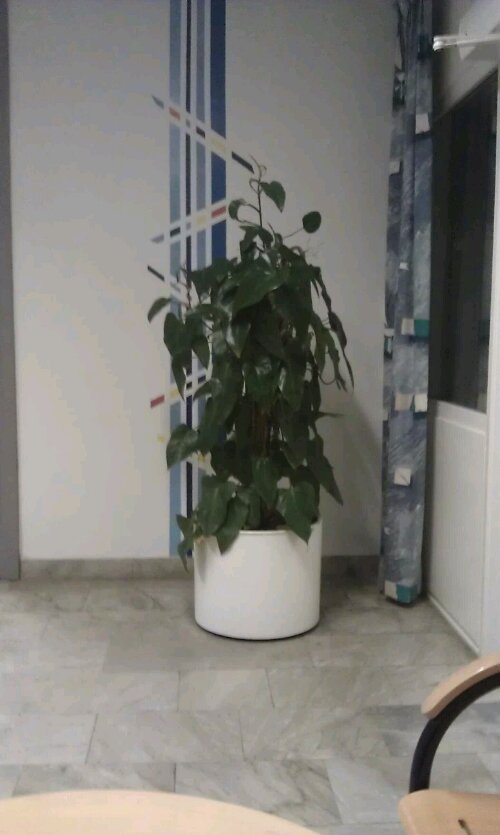 1325085195372.jpg image